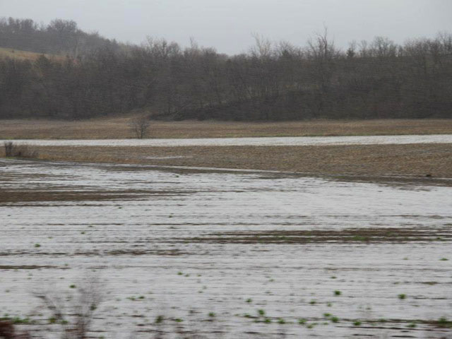 Flooding caused millions of acres to go unplanted in 2015, and growers will face tough weed populations and possible nutrient deficiencies there in 2016. (DTN photo by Elaine Shein)